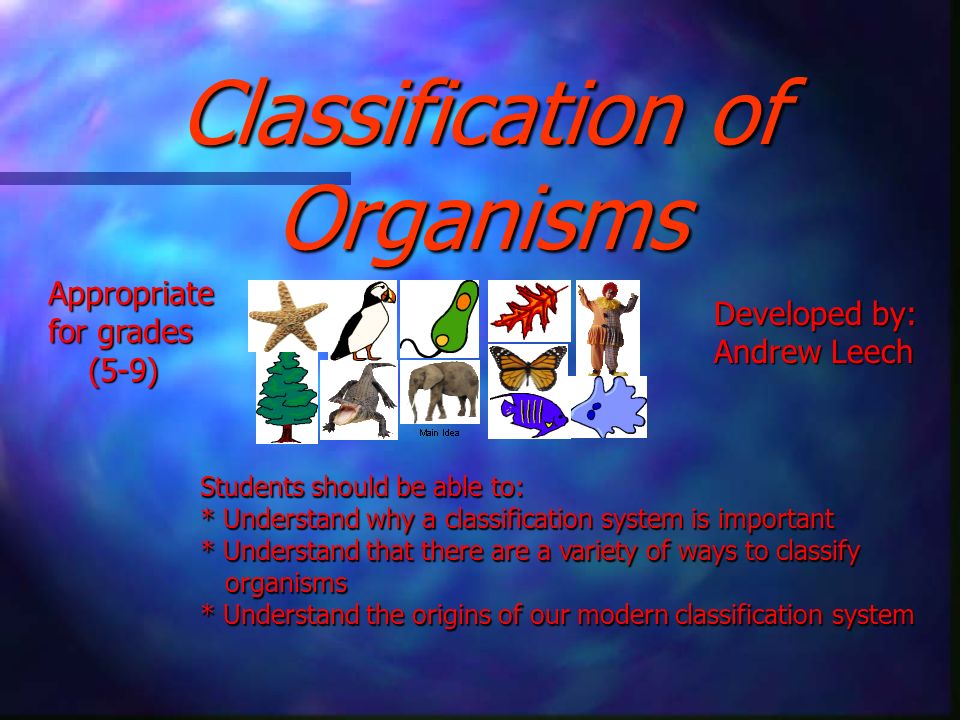 classifying organisms