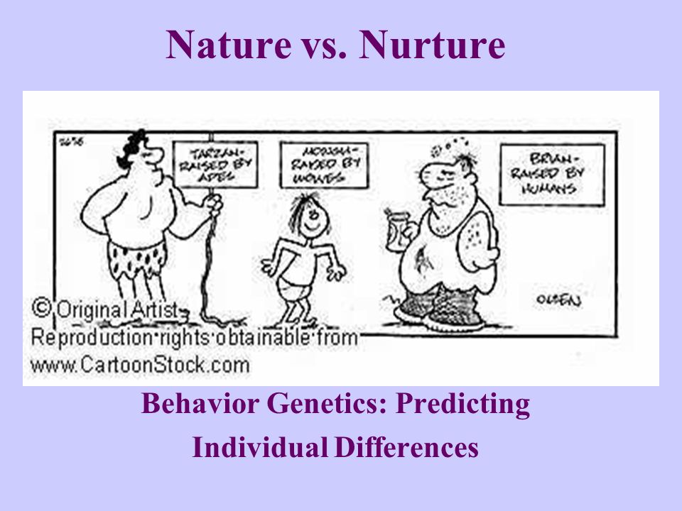 Nature vs nurture cartoon