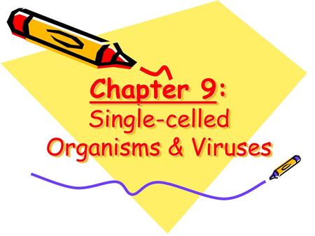 Chapter 9: Single-celled Organisms & Viruses