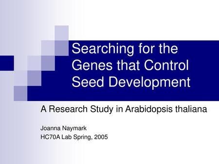 Searching for the Genes that Control Seed Development