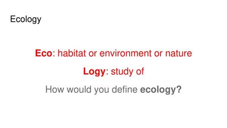 Eco: habitat or environment or nature Logy: study of