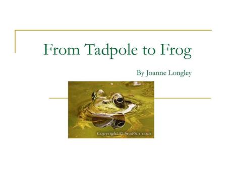 From Tadpole to Frog By Joanne Longley