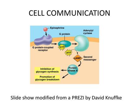 CELL COMMUNICATION Slide show modified from a PREZI by David Knuffke.