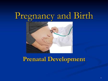 Pregnancy and Birth Prenatal Development.