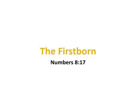 The Firstborn Numbers 8:17.