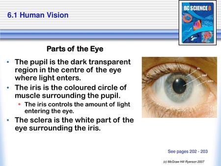 The iris is the coloured circle of muscle surrounding the pupil.