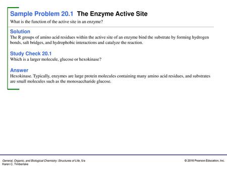 Sample Problem 20.1 The Enzyme Active Site