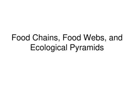 Food Chains, Food Webs, and Ecological Pyramids