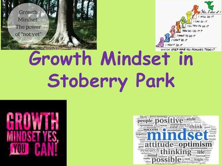 Growth Mindset in Stoberry Park