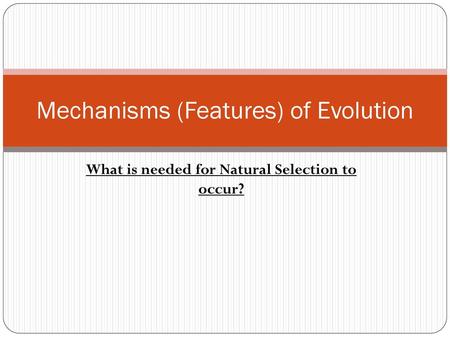 Mechanisms (Features) of Evolution