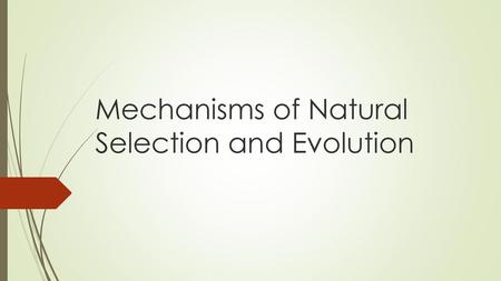 Mechanisms of Natural Selection and Evolution