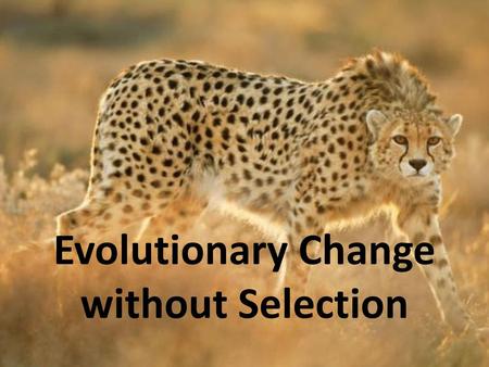 Evolutionary Change without Selection