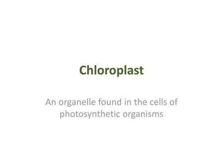 An organelle found in the cells of photosynthetic organisms