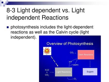 8-3 Light dependent vs. Light independent Reactions