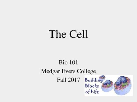 Bio 101 Medgar Evers College Fall 2017