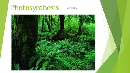 Photosynthesis AP Biology.