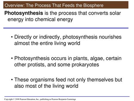 Overview: The Process That Feeds the Biosphere