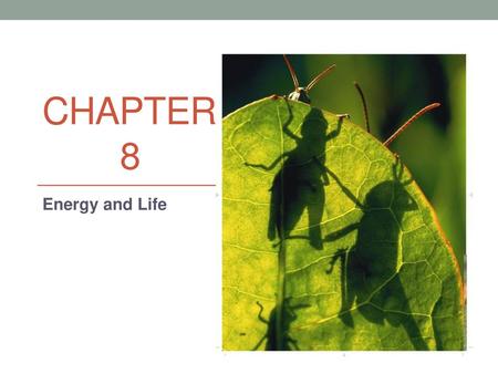 Chapter 8 Energy and Life.