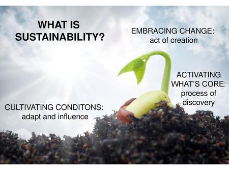WHAT IS SUSTAINABILITY?