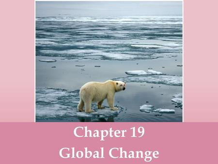 Chapter 19 Global Change.