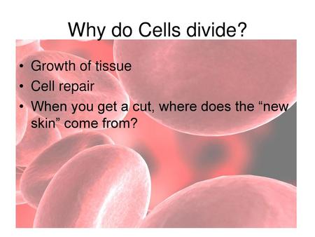 Why do Cells divide? Growth of tissue Cell repair
