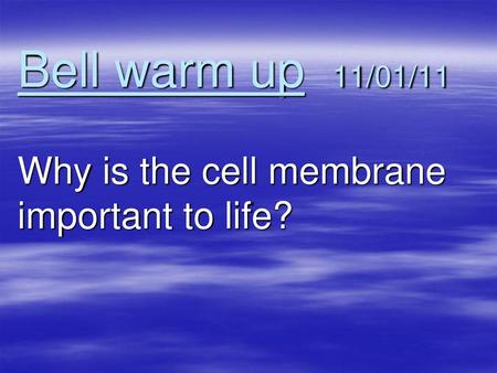 Why is the cell membrane important to life?