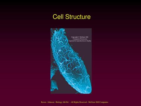 Cell Structure Copyright © McGraw-Hill Companies Permission