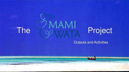 The			 						Project Outputs and Activities.