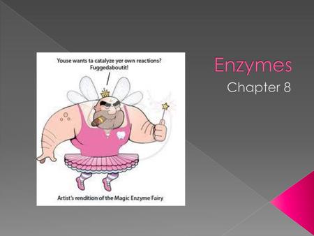 Enzymes Chapter 8.