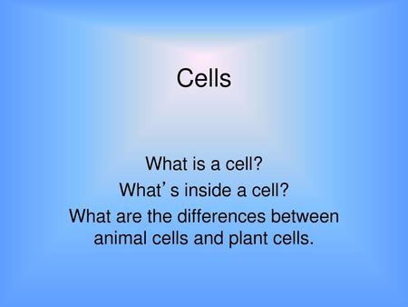 What are the differences between animal cells and plant cells.