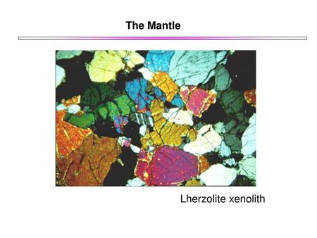 The Mantle Lherzolite xenolith.