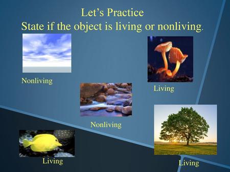 State if the object is living or nonliving.