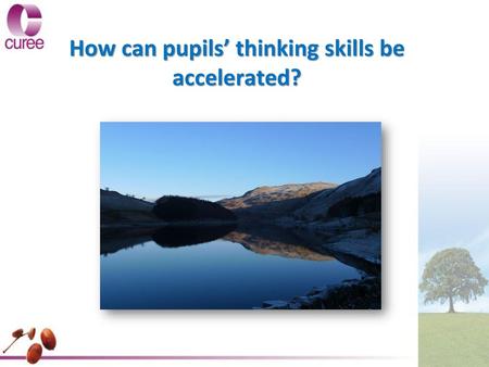 How can pupils’ thinking skills be accelerated?