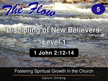 Discipling of New Believers- Level 1