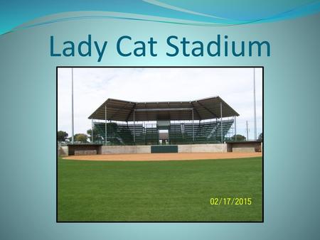 Lady Cat Stadium.