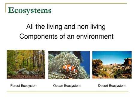 Ecosystems All the living and non living Components of an environment.
