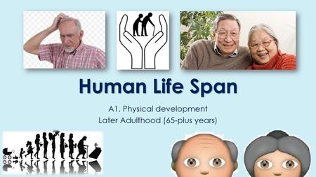 A1. Physical development Later Adulthood (65-plus years)