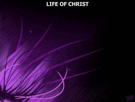 LIFE OF CHRIST.