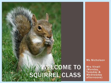 Welcome to SQUIRREL Class