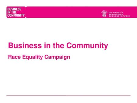 Business in the Community Race Equality Campaign