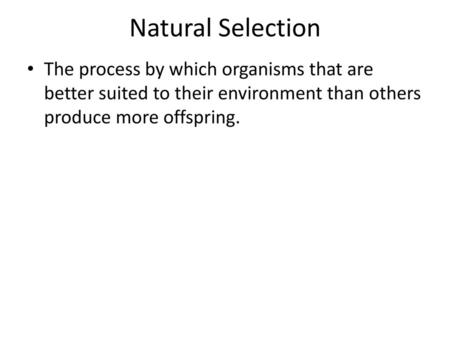 Natural Selection The process by which organisms that are better suited to their environment than others produce more offspring.