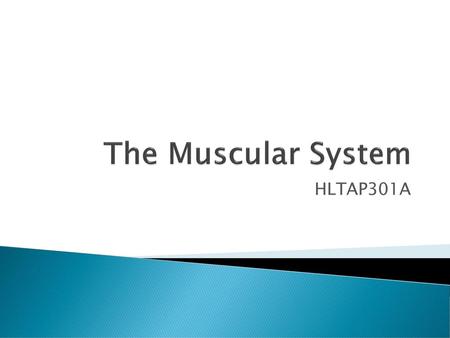 The Muscular System HLTAP301A.