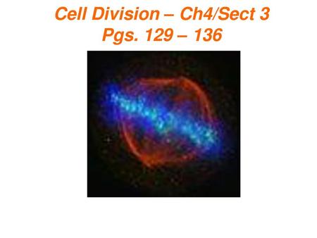 Cell Division – Ch4/Sect 3 Pgs. 129 – 136