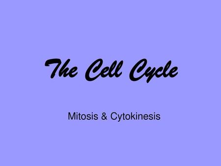 The Cell Cycle Mitosis & Cytokinesis.