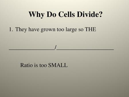 Why Do Cells Divide? They have grown too large so THE