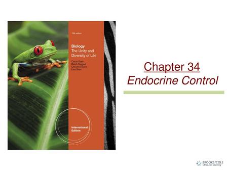 Chapter 34 Endocrine Control