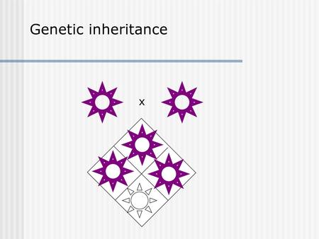 Genetic inheritance x.