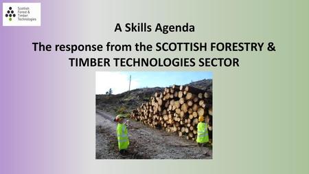 The response from the SCOTTISH FORESTRY & TIMBER TECHNOLOGIES SECTOR