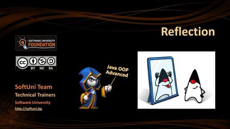 Reflection SoftUni Team Technical Trainers Java OOP Advanced
