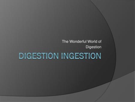 The Wonderful World of Digestion